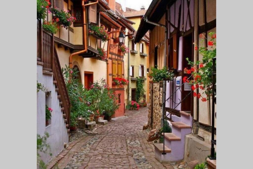Gite à Eguisheim proche de Colmar et Kaysergberg. – photo 6