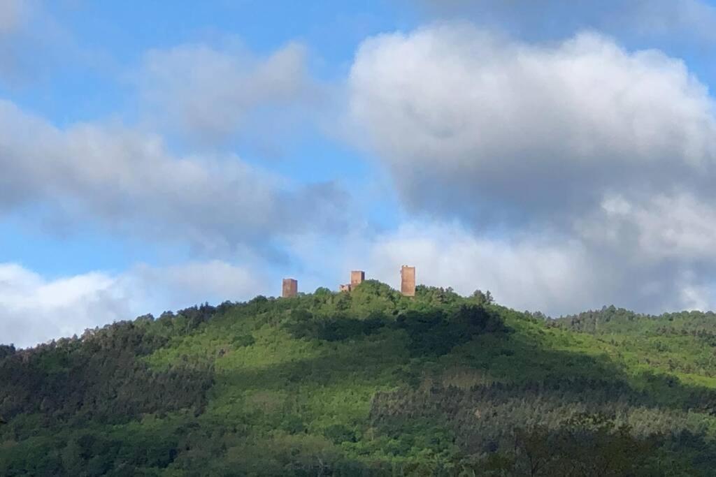 Gite à Eguisheim proche de Colmar et Kaysergberg. – photo 31