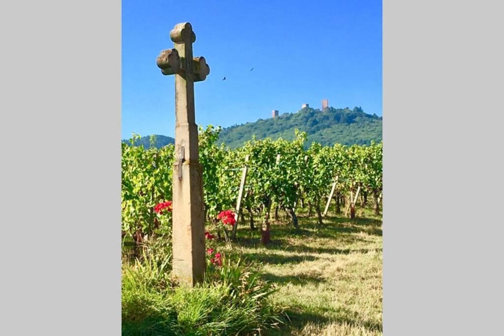 Gite à Eguisheim proche de Colmar et Kaysergberg. – photo 34