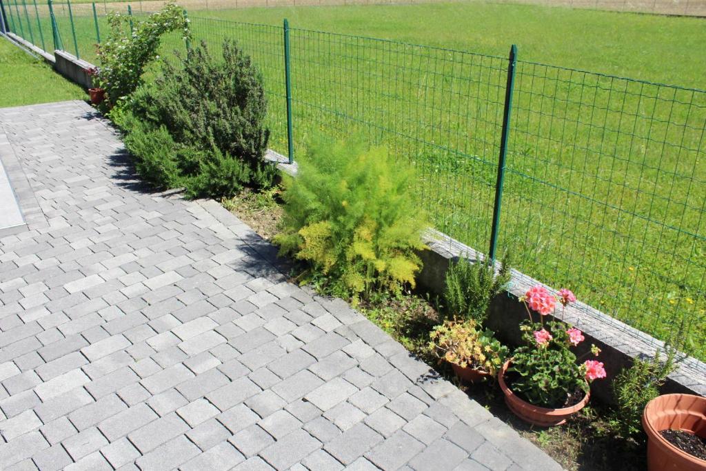 Zahrada ubytování Villa Madi