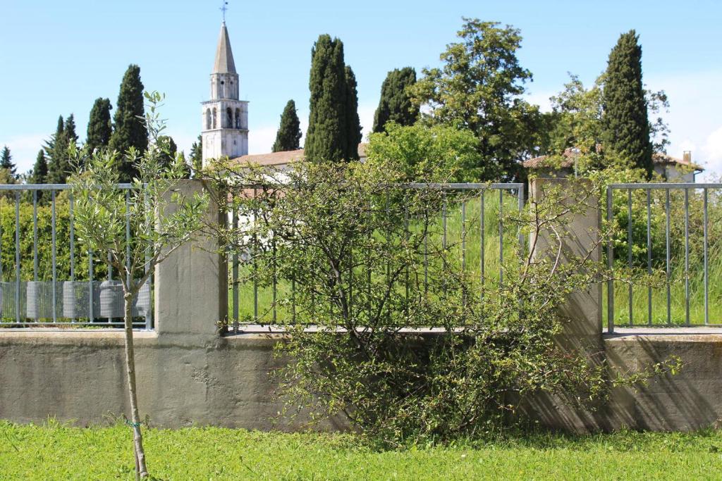 Zahrada ubytování Villa Madi