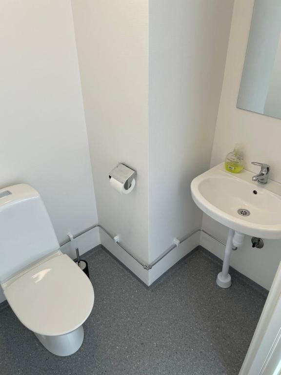 Torups Vandrarhem - Standard Twin Room With Sofa