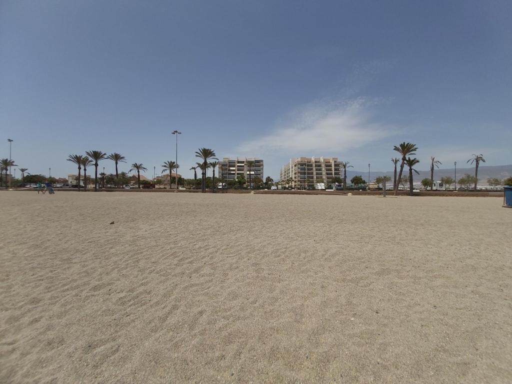 piaszczysta plaża z palmami i budynkami w tle w obiekcie MAR & SAL Roquetas de Mar playa de las Salinas w mieście Roquetas de Mar