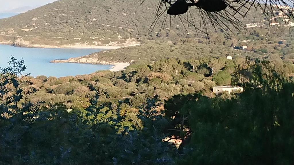 vista su una spiaggia e su una pozza d'acqua di LOCANOMA a Corbara