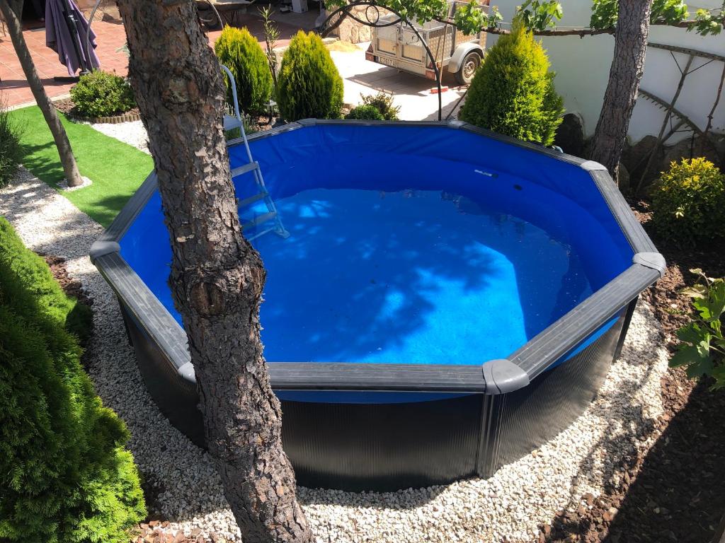 a blue pool in a yard with a tree at Casa Rural "Rincón del Edén" in Tardobispo
