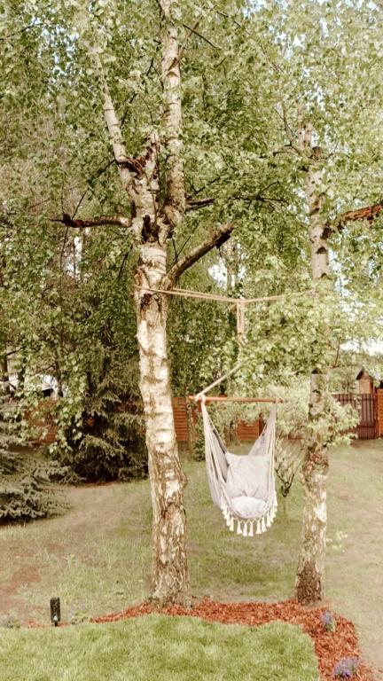 Vonkajšia záhrada v ubytovaní DOM LAS 2-natura, relaks, jacuzzi, akwen Jeziorsko