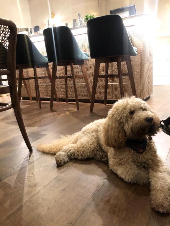 The Roseate Villa Bath - Resim 33