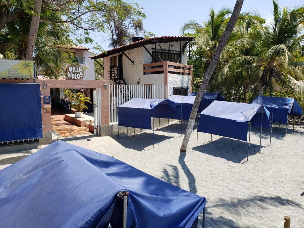 eine Gruppe blauer Zelte am Strand mit Palmen in der Unterkunft Hospedaje Villa Naloy in Santa Marta