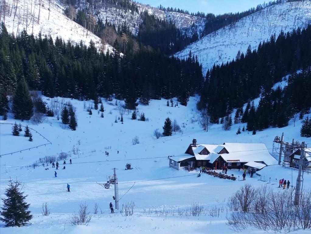 Apartmány SKI Čertovica في فيشنا بوكا: كوخ التزلج في الثلج في جبل