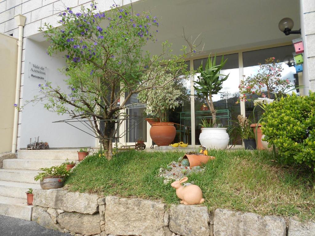 Vale de Azereiros Apartamentos - 13