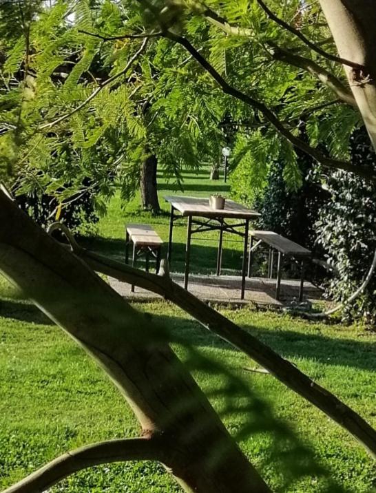 Zahrada ubytování Podere Montecorno