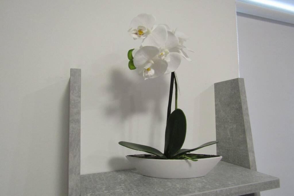 Apartman Megi & studio apartman Tomi - SELF CHECK IN - 12