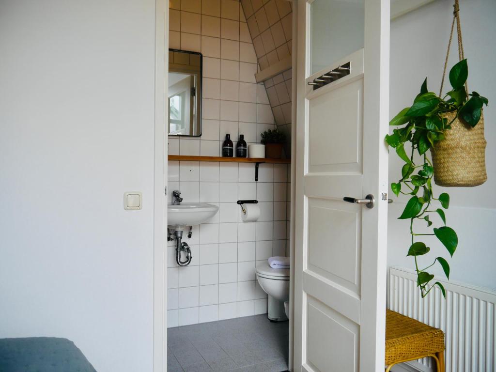 een badkamer met een toilet en een wastafel bij Groenlokaal in Alkmaar