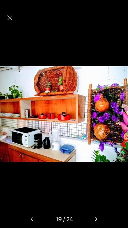  Conceitual House Hostel
