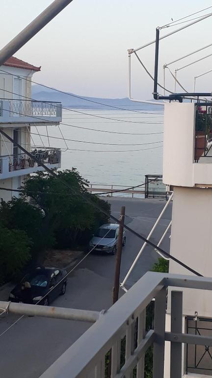 Příroda nedaleko hotelu