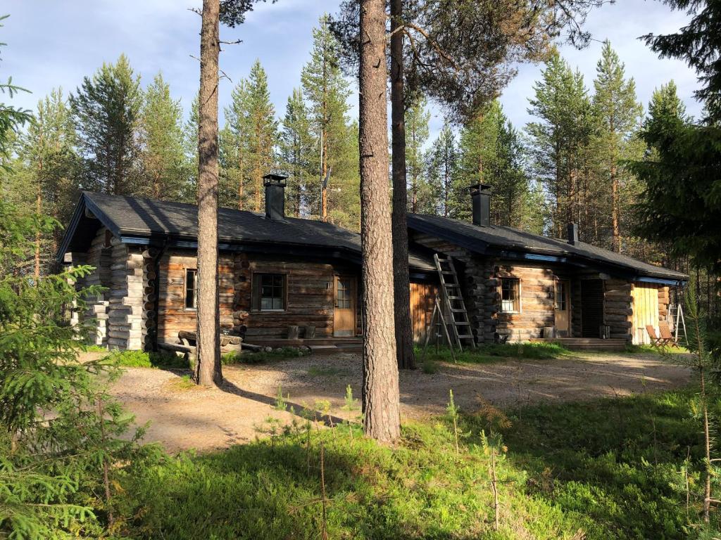una baita nel bosco con alberi di Kelokallas 2 Ruka a Ruka