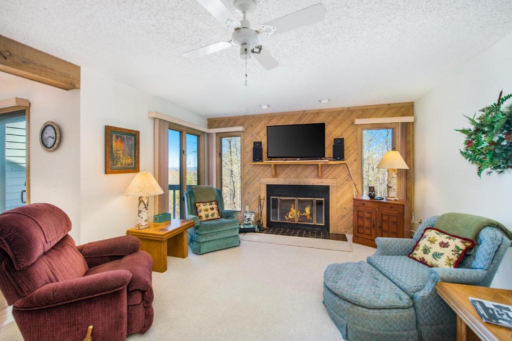 a living room with chairs and a fireplace at Mountain Seclusion in Harbor Springs