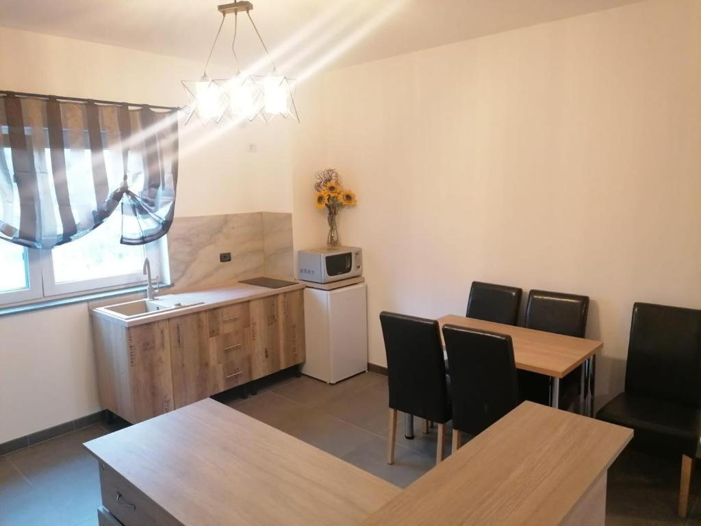 Kuchyň nebo kuchyňský kout v ubytování Pensiunea Giulia Home