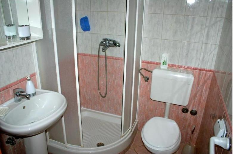Koupelna v ubytování Villa Planjka (133)