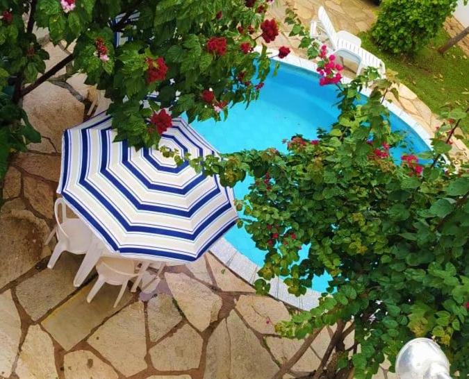 una sombrilla y sillas azules y blancas junto a la piscina en Pousada Aquarela Pirenopolis en Pirenópolis