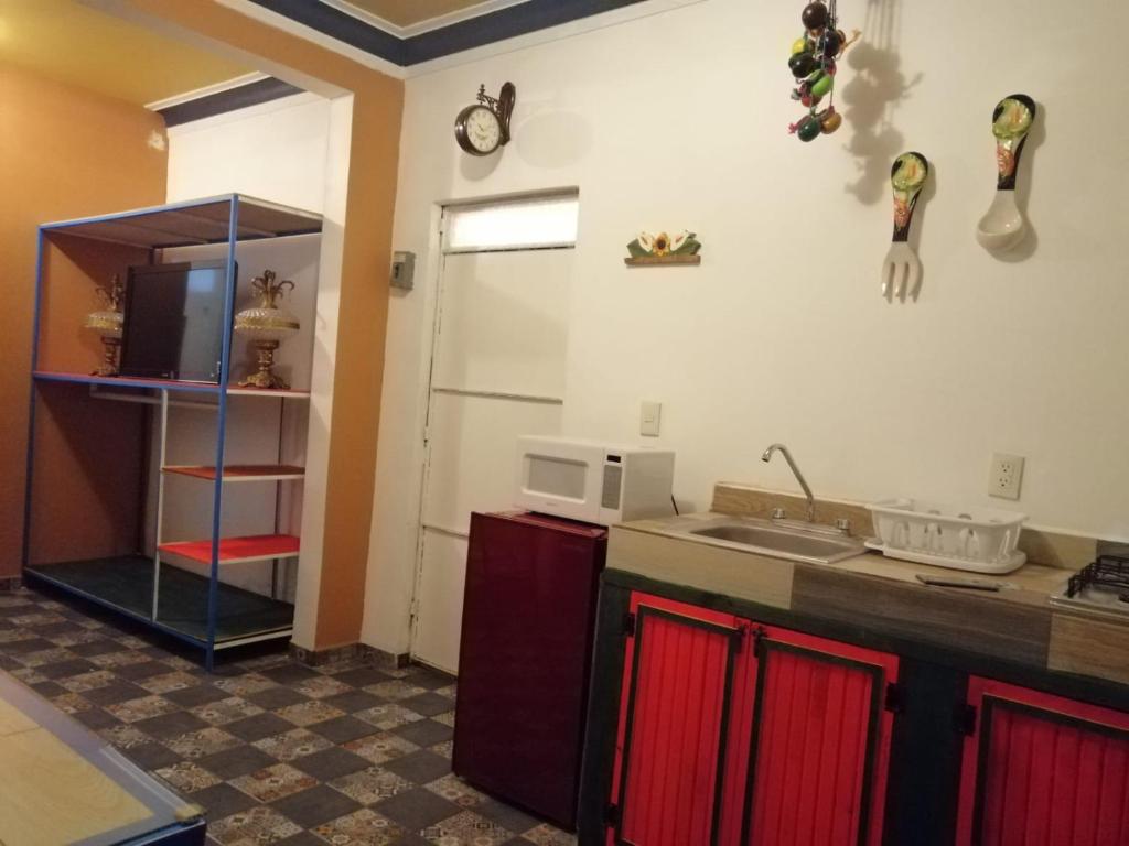 cocina con fregadero y microondas en La Frida Kahlo Verde 1er piso en Ciudad de México