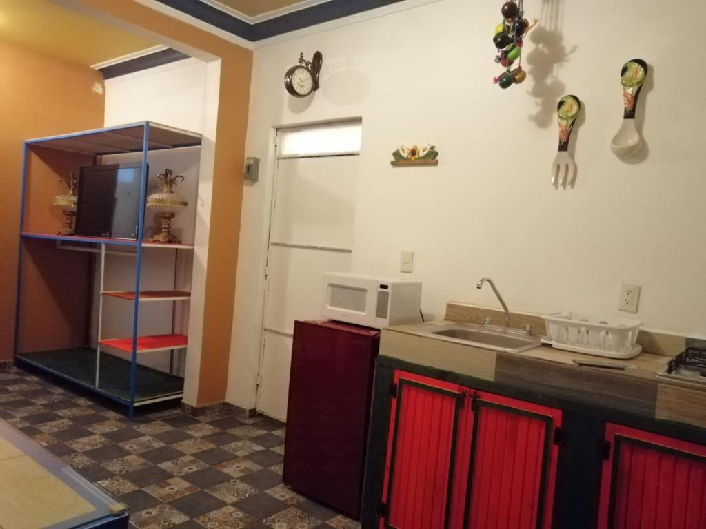 cocina con fregadero y microondas en La Frida Kahlo Verde 1er piso, en Ciudad de México