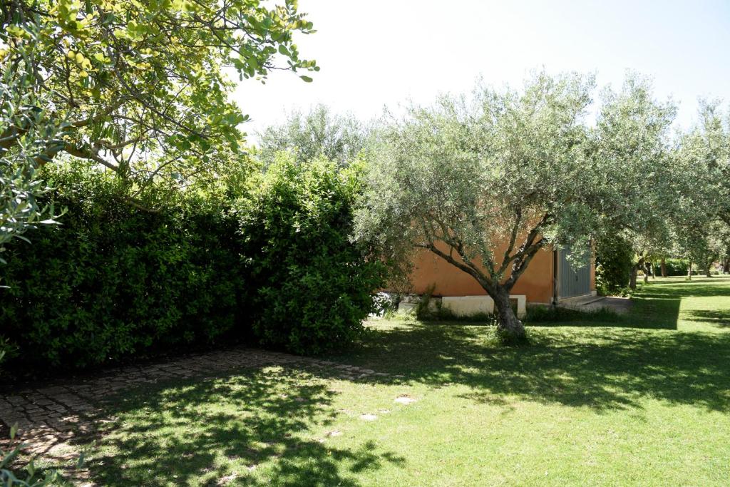 Vonkajšia záhrada v ubytovaní Karrua House