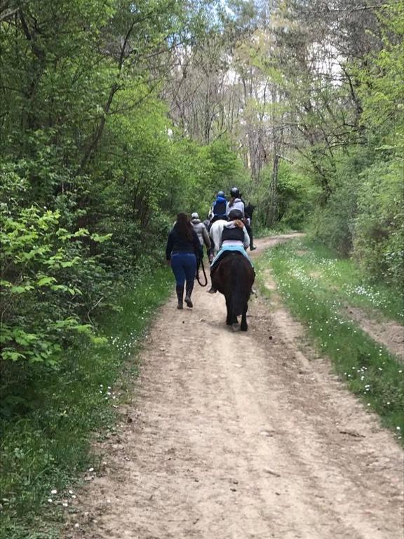 Hosté ubytování chambres d'hotes Labatut