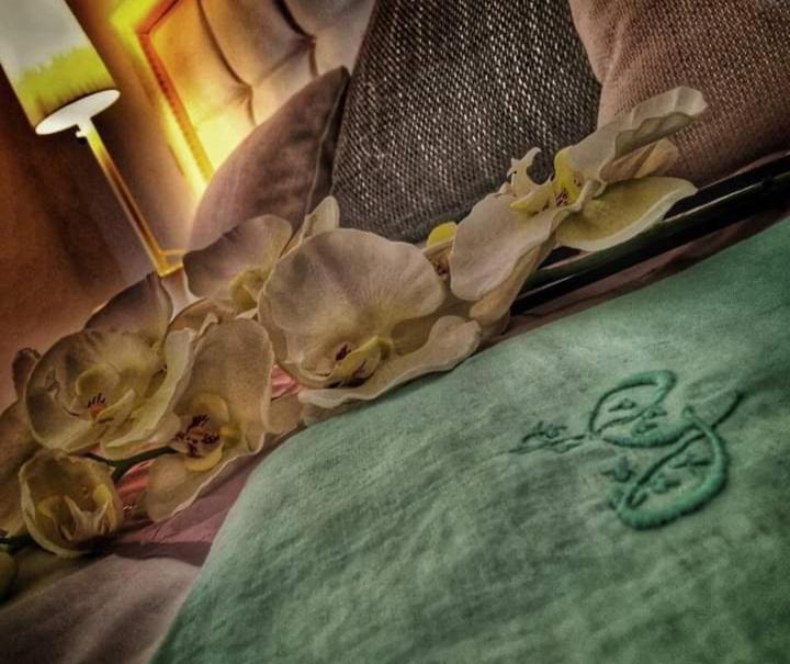 アグローポリにあるB&B Gianninellaの花のベッドの上