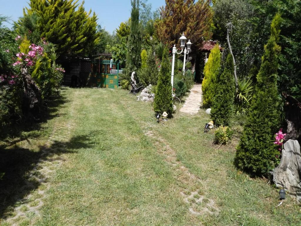 Arti Vila - Image 6