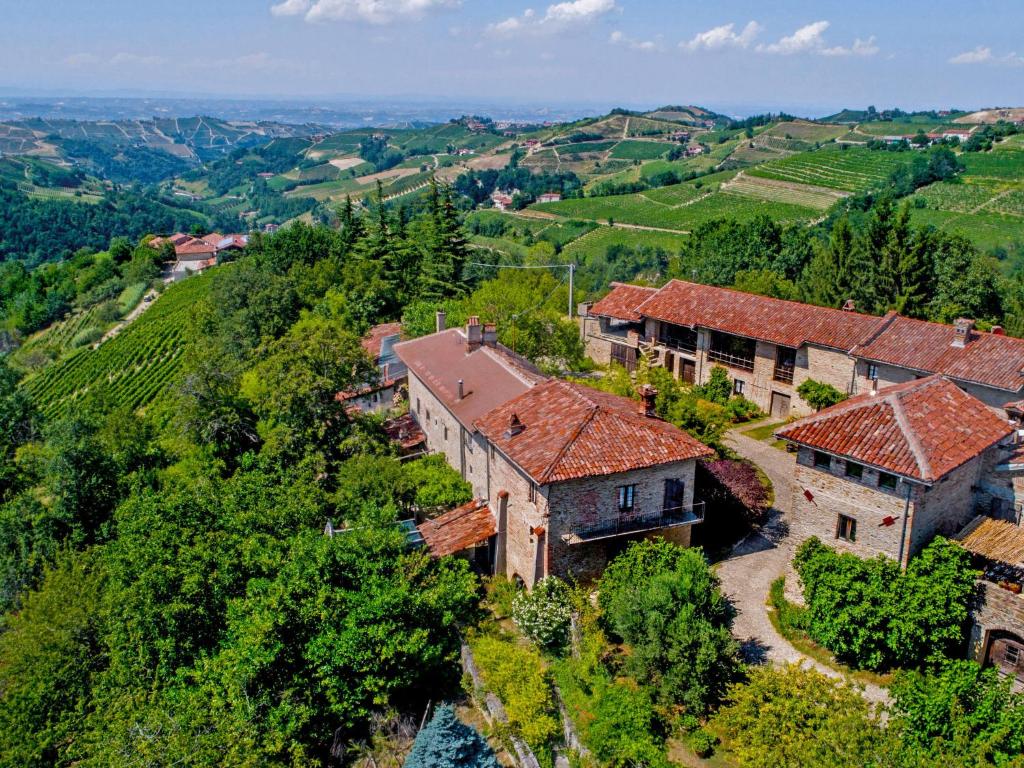 eine Luftansicht eines Anwesens auf einem Weinberg in der Unterkunft Holiday Home Antico Borgo del Riondino by Interhome in Trezzo Tinella