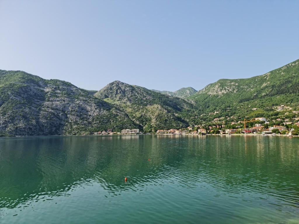 Příroda nedaleko apartmánu