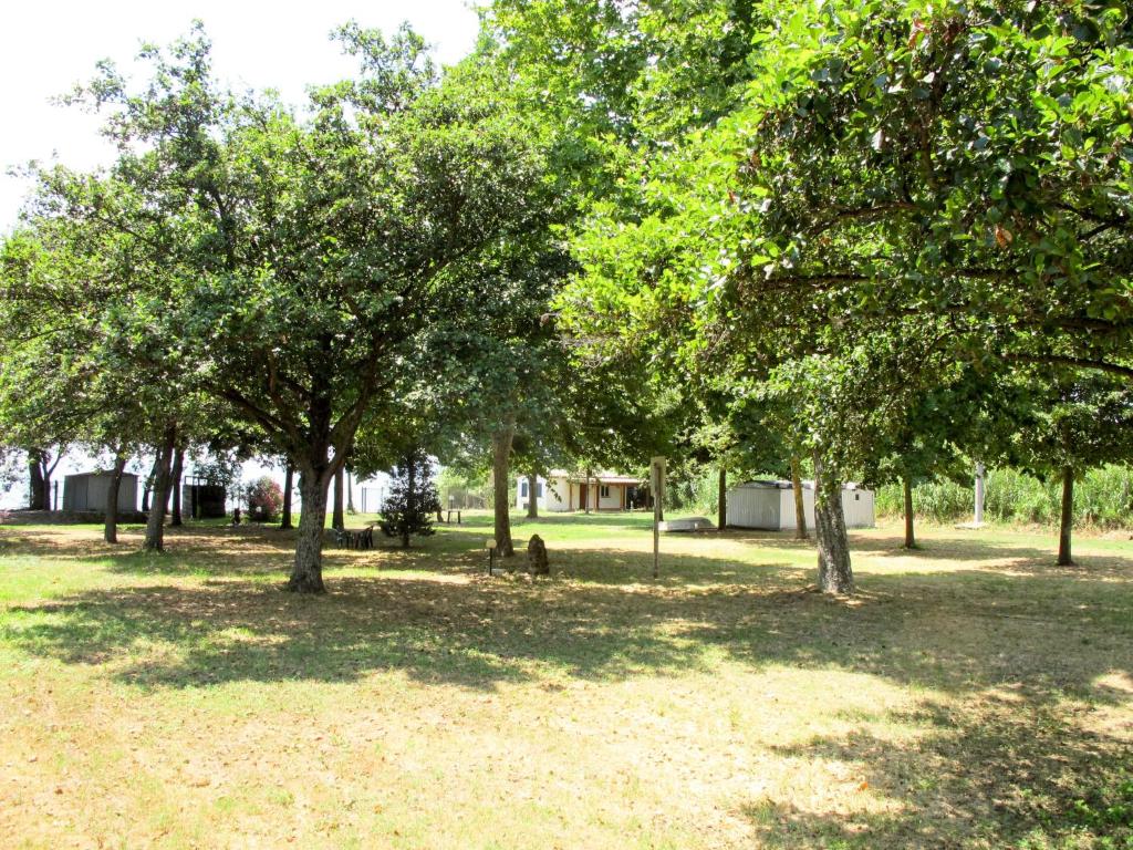 Vonkajšia záhrada v ubytovaní Apartment Il Podere del Lago - BOL253 by Interhome