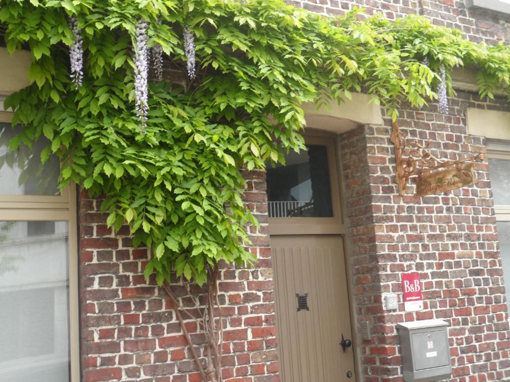 una puerta delantera de un edificio de ladrillo con flores púrpuras en B&B Allegra Nova, en Gante