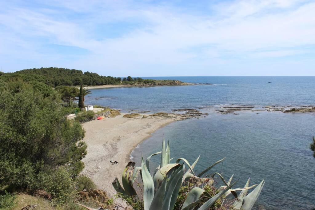 vistas a una playa con cactus en Luxury 4 bed apartment on coastal footpath at Cap Ras, en Llançà