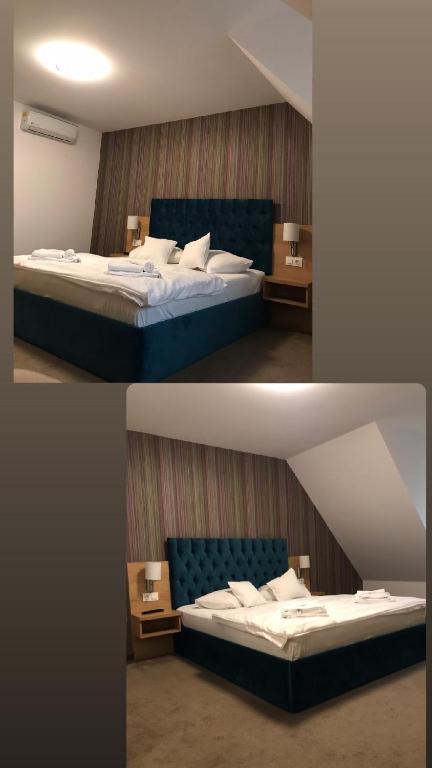 Vila Turistica Principesa Margareta - Habitación Doble Con Baño Privado