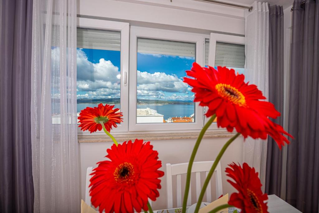 Příroda nedaleko apartmánu