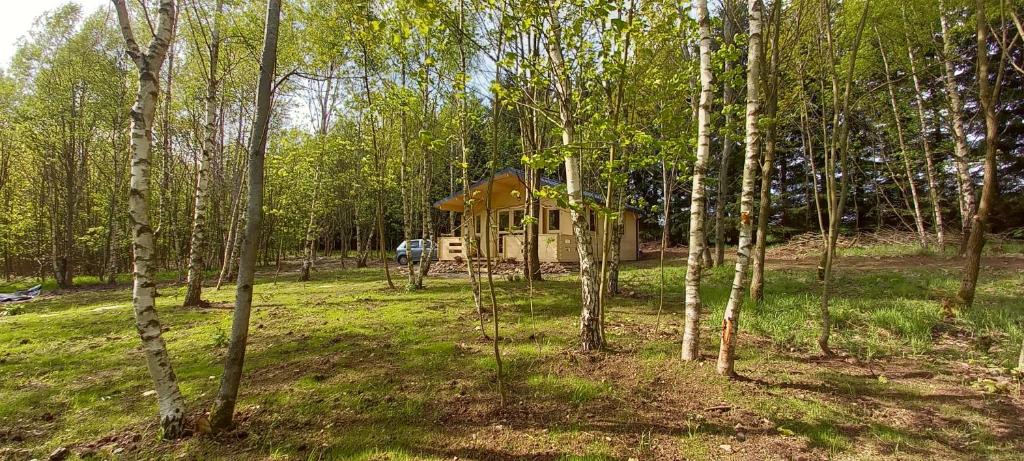 ein Haus inmitten eines Waldes mit Bäumen in der Unterkunft HeartSPAce Taszów in Taszów