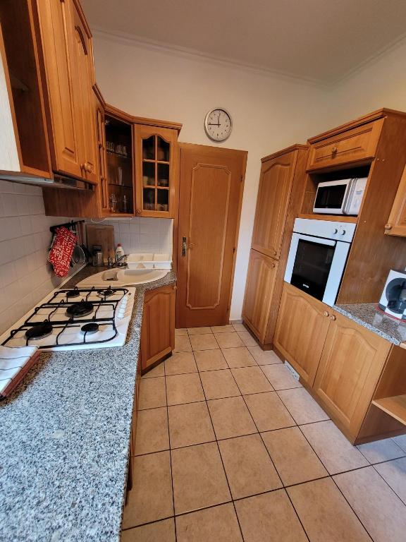 Kuchyň nebo kuchyňský kout v ubytování Apartmány Velké Dářko