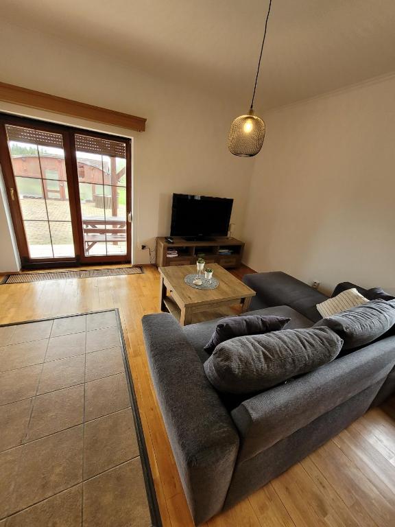 TV a/nebo společenská místnost v ubytování Apartmány Velké Dářko
