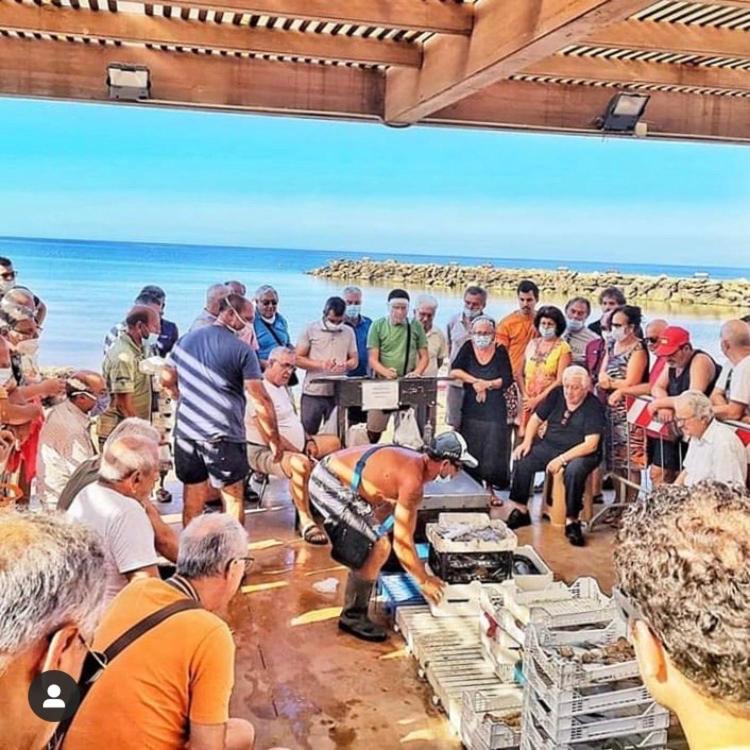 Hostia v ubytovaní La Terrazza Sul Mar Mediterraneo