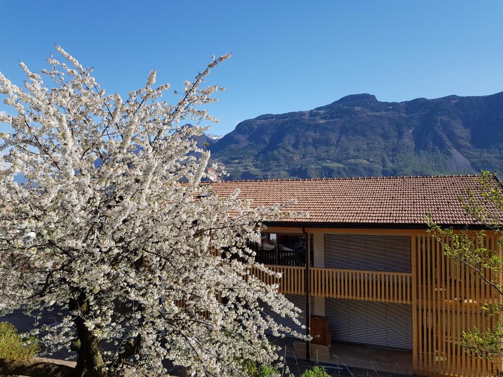 Widok na góry z tego apartamentu