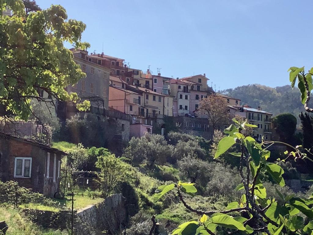 CA' RONDINE - Housity