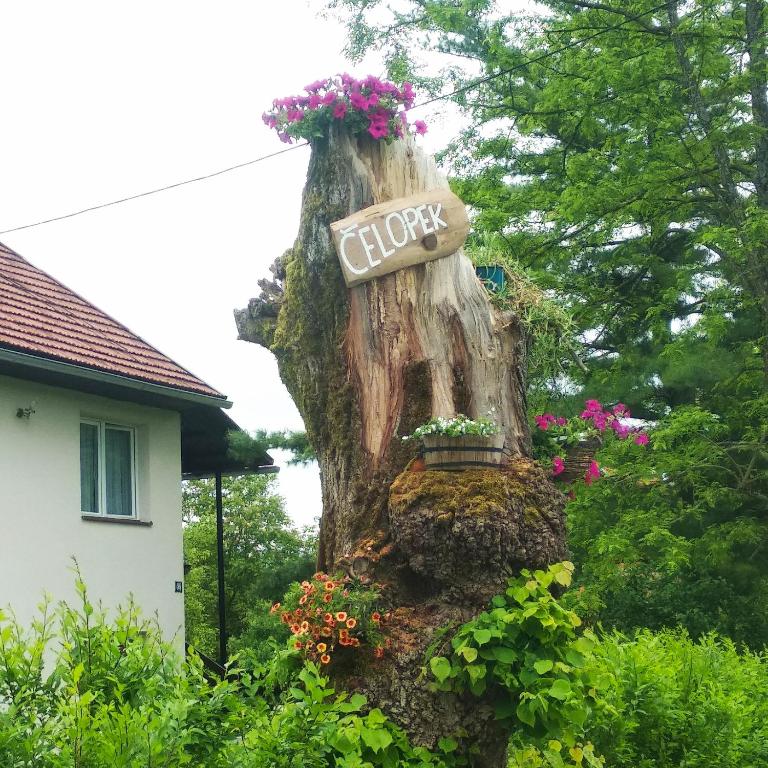 Vonkajšia záhrada v ubytovaní Apartments Čelopek
