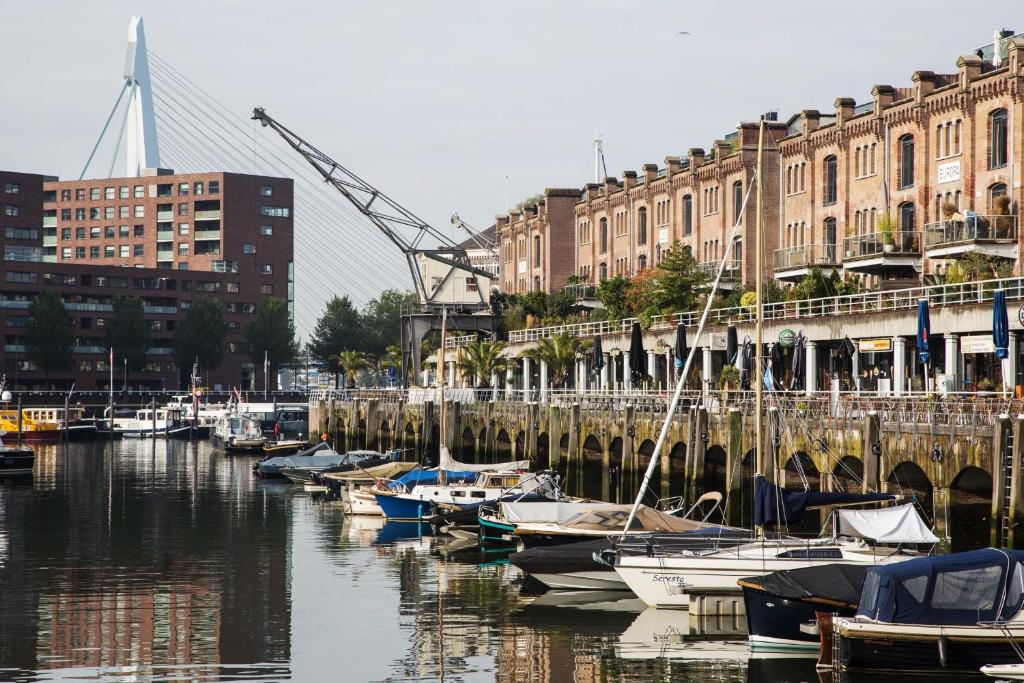 Suitehotel Pincoffs - Resim 38