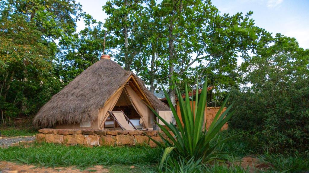 a small house with a grass roof and a plant at Nativo Glamping in Barichara