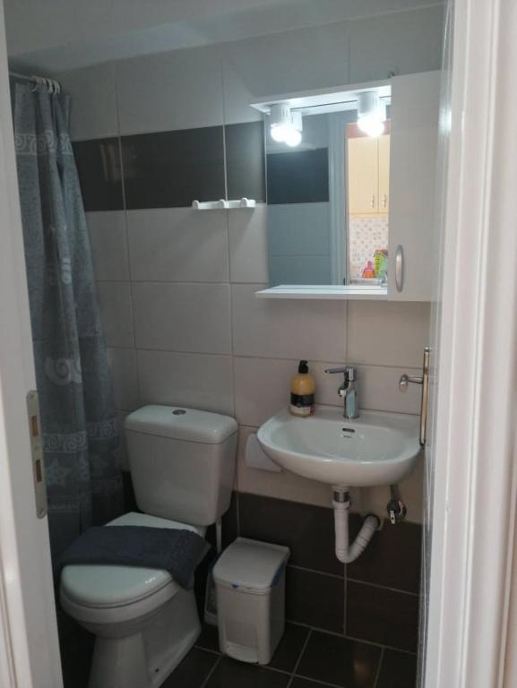 Koupelna v ubytování Zacharos Elegant Studio