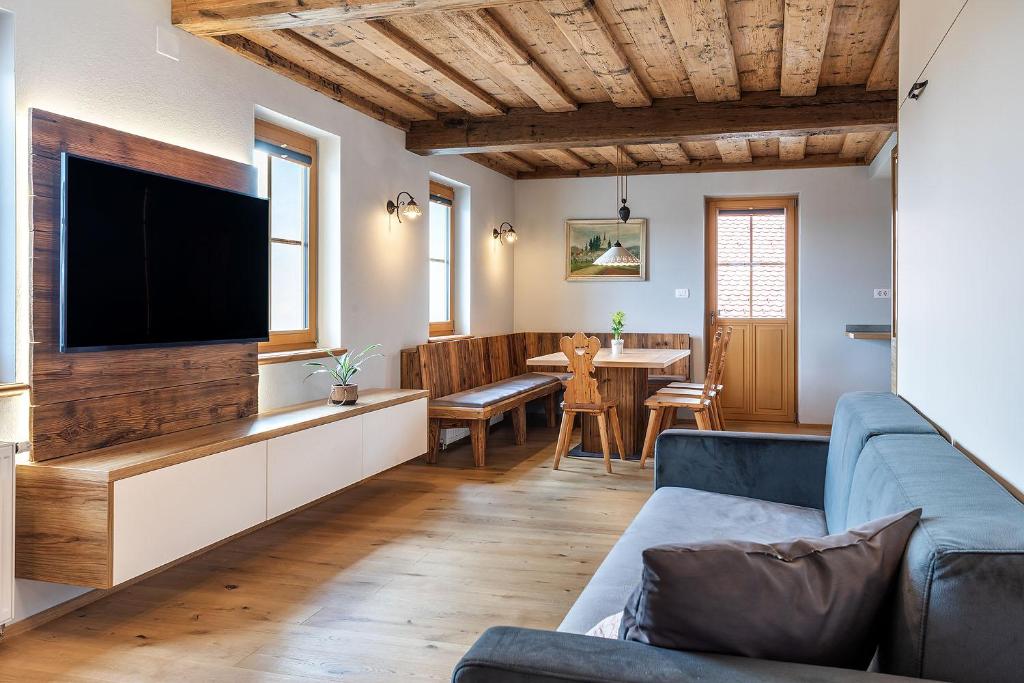 ein Wohnzimmer mit einem Sofa und einem Flachbild-TV in der Unterkunft Apartments Tourist farm Matijovc in Naklo