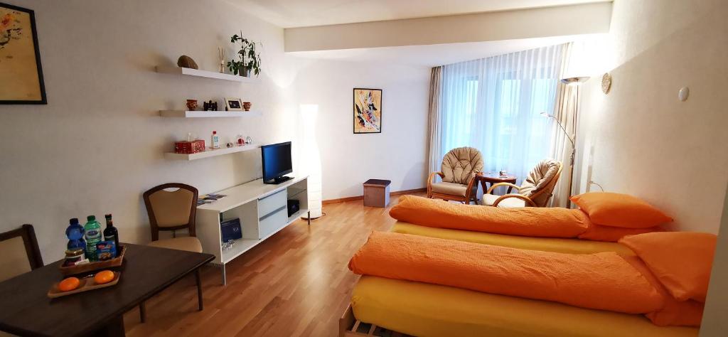 ein Wohnzimmer mit einem Sofa und einem TV in der Unterkunft Studio Fumzi in Ascona