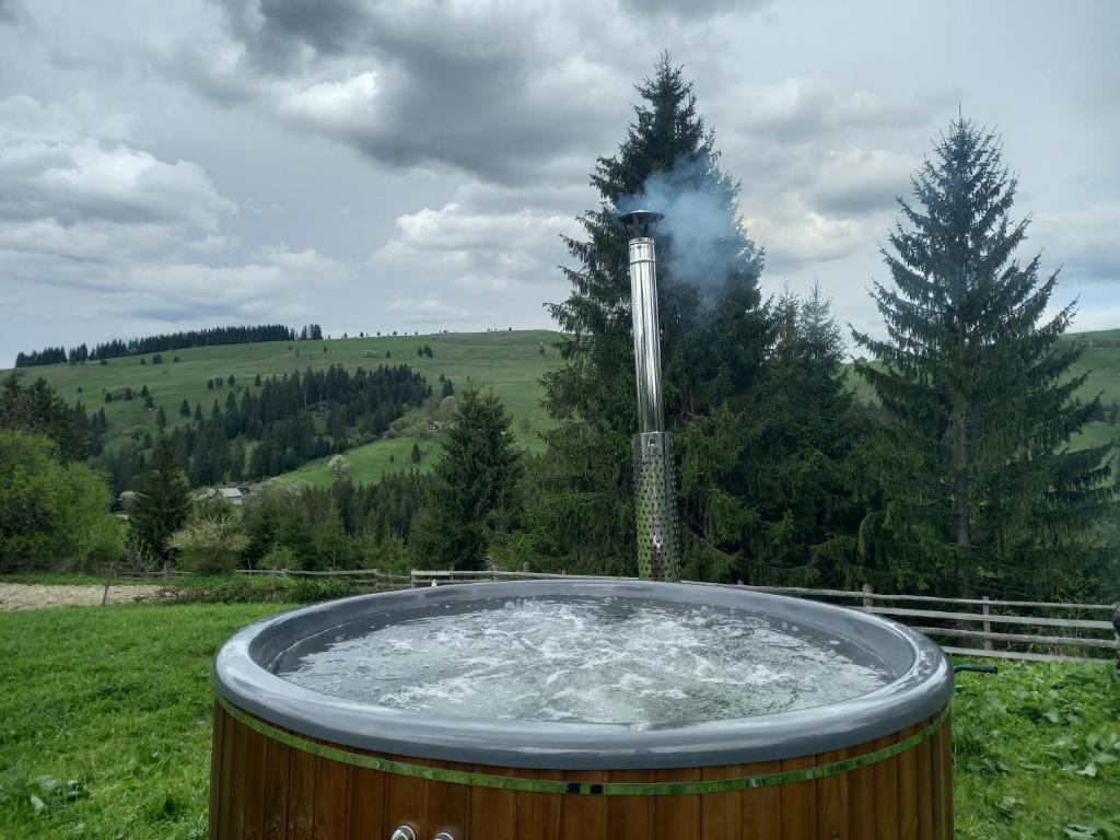 Příroda nedaleko kempu